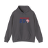 America 250 Stealie Hoodie