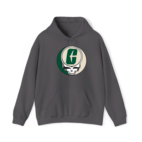 UNC Charlotte Stealie Premium Hoodie