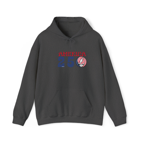 America 250 Stealie Hoodie