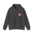 America 250 Stealie Hoodie