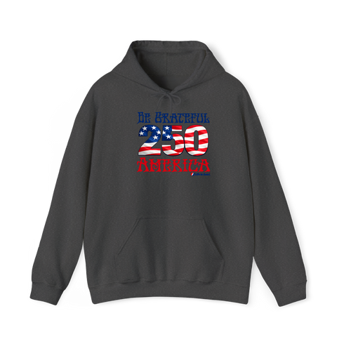 Be Grateful America Stealie Hoodie