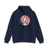Stars and Stripes Stealie Hoodie
