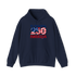 Be Grateful America Stealie Hoodie