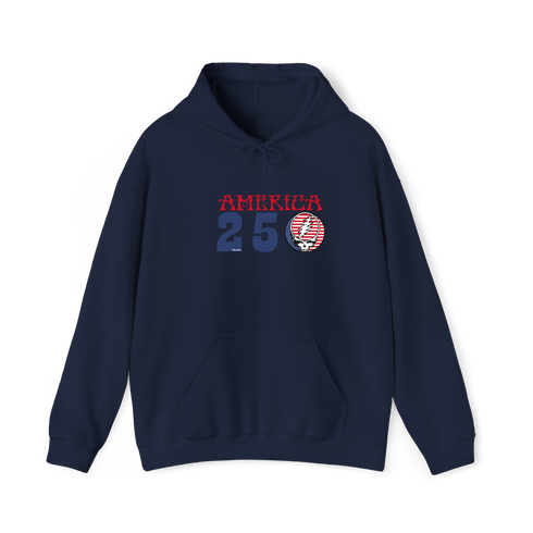 America 250 Stealie Hoodie