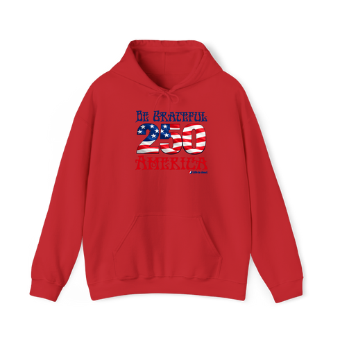 Be Grateful America Stealie Hoodie