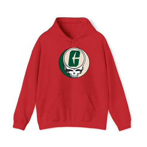 UNC Charlotte Stealie Premium Hoodie