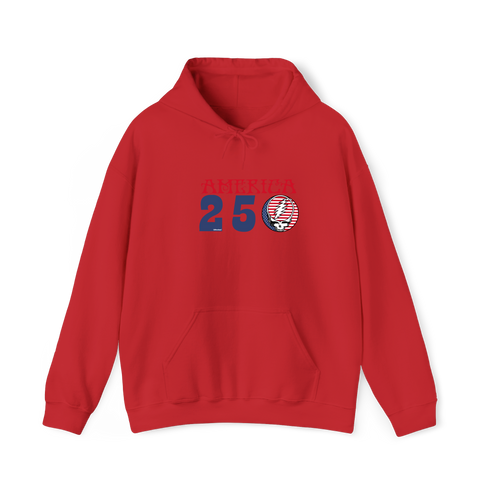 America 250 Stealie Hoodie