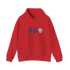 America 250 Stealie Hoodie
