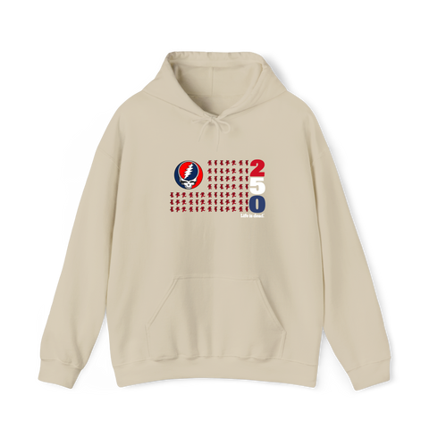 America 250 Life is dead. Stealie Hoodie