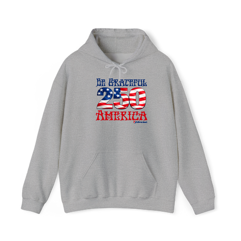 Be Grateful America Stealie Hoodie