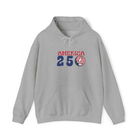 America 250 Stealie Hoodie