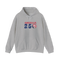 America 250 Stealie Hoodie