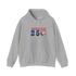 America 250 Stealie Hoodie