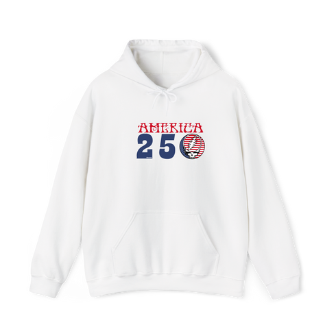 America 250 Stealie Hoodie