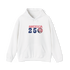 America 250 Stealie Hoodie