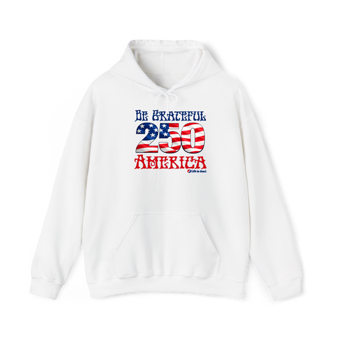 Be Grateful America Stealie Hoodie