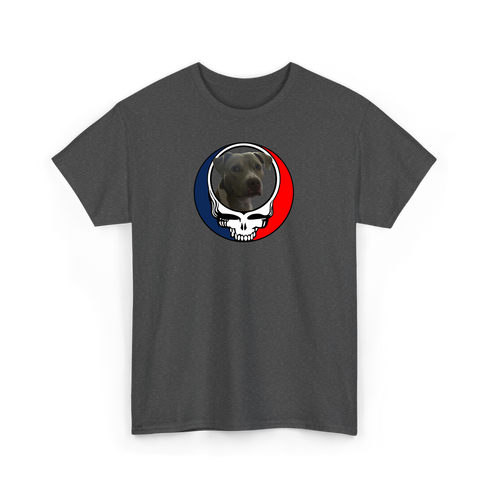 1437 - Custom Stealie T-Shirt