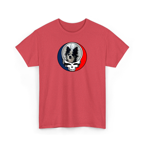 1709 - Custom Stealie T-Shirt