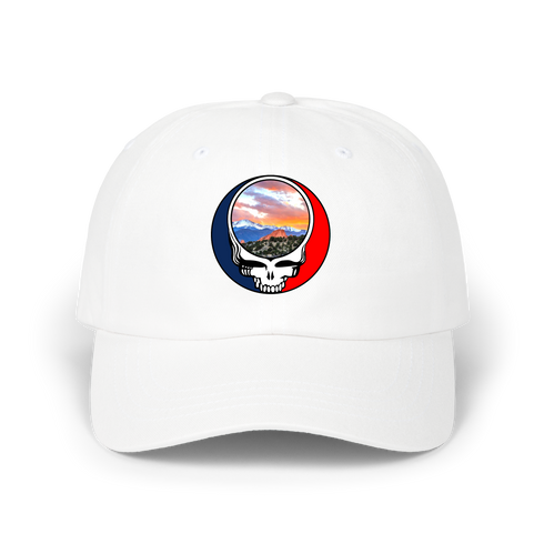 1596 - Custom Stealie Dad Hat