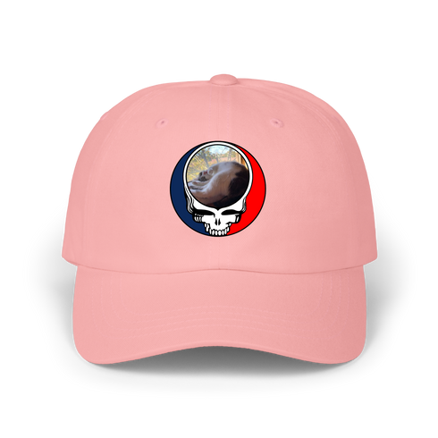1634 - Custom Stealie Dad Hat
