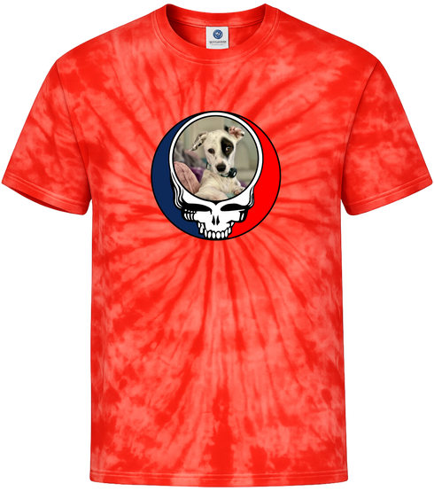 1370 - Custom Stealie Tie-Dye