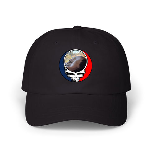 1634 - Custom Stealie Dad Hat