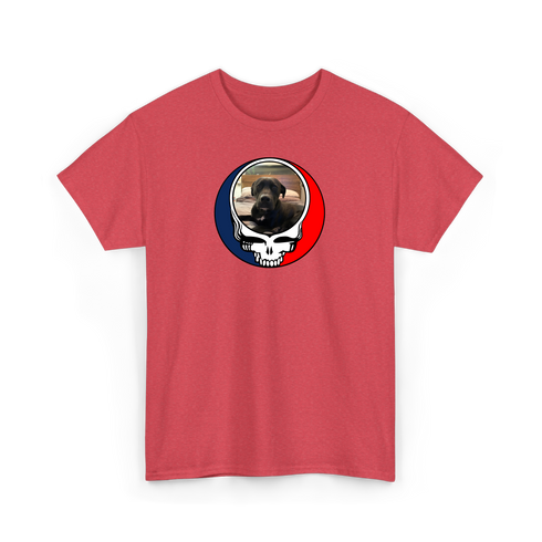 1522 - Custom Stealie T-Shirt