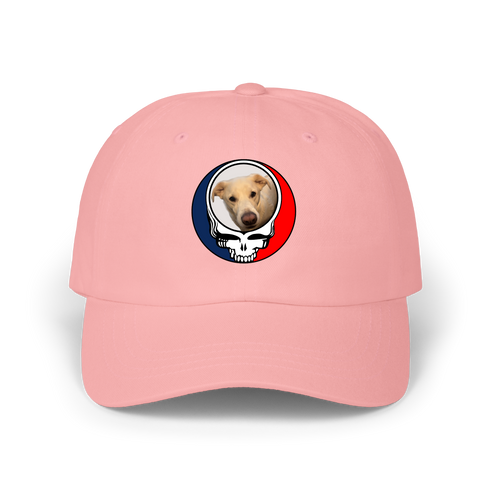 1567 - Custom Stealie Dad Hat
