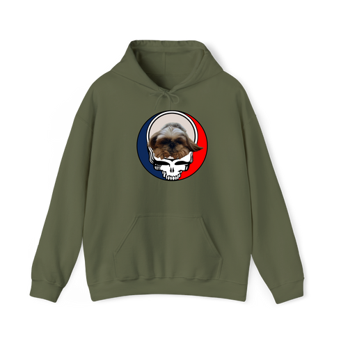 1622 - Custom Stealie Hoodie