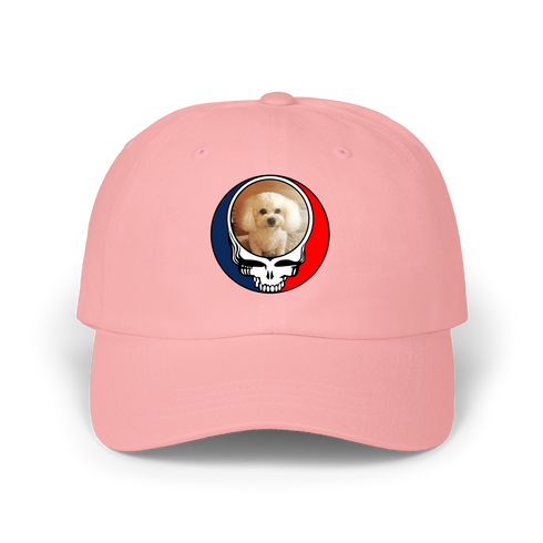 1641 - Custom Stealie Dad Hat