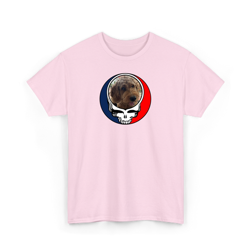 1537 - Custom Stealie T-Shirt