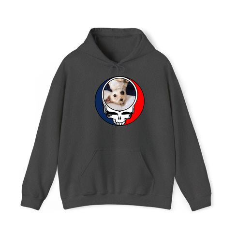1615 - Custom Stealie Hoodie