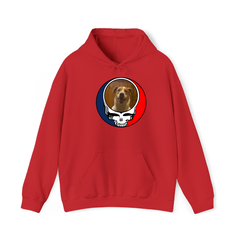 1656 - Custom Stealie Hoodie