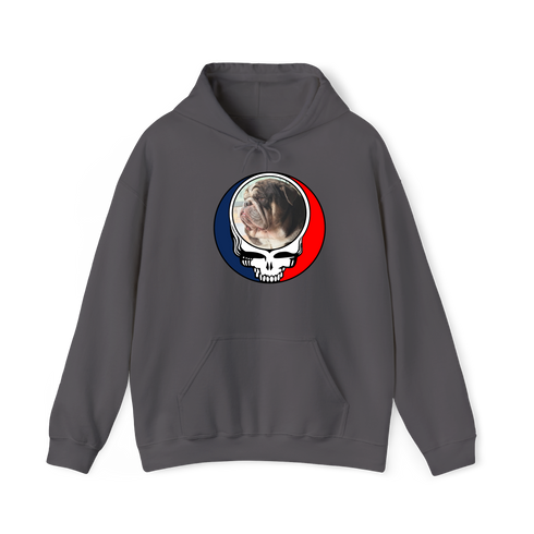 1676 - Custom Stealie Hoodie