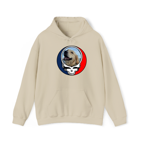 1706 - Custom Stealie Hoodie