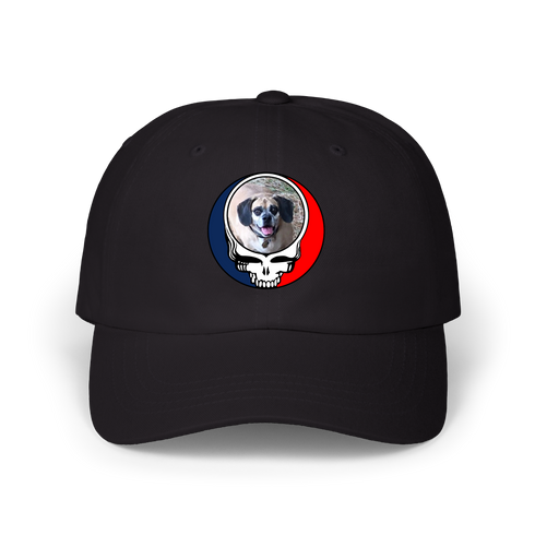 1755 - Custom Stealie Dad Hat