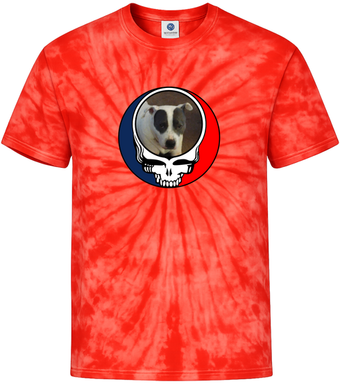 1688 - Custom Stealie Tie-Dye