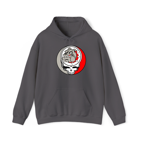 1732 - Custom Stealie Hoodie