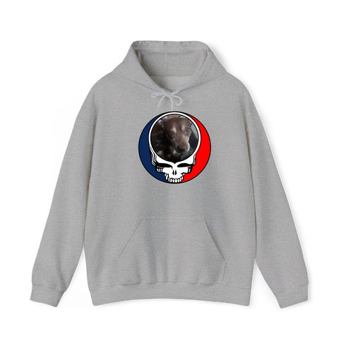 1560 - Custom Stealie Hoodie