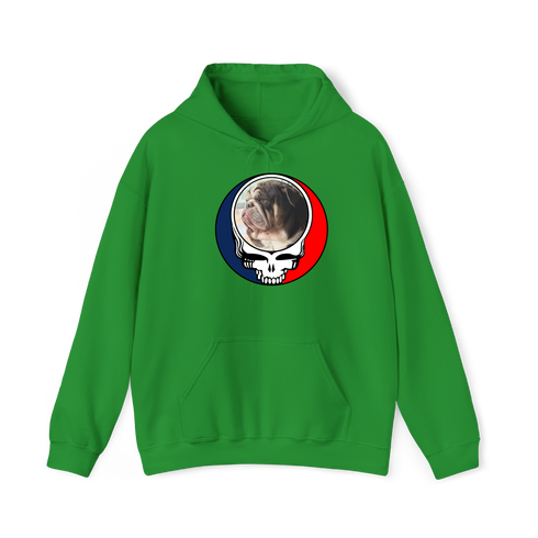 1676 - Custom Stealie Hoodie