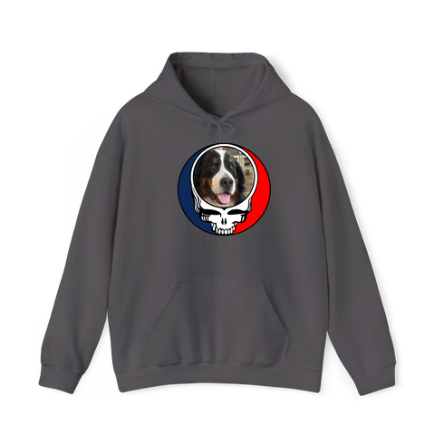 1583 - Custom Stealie Hoodie