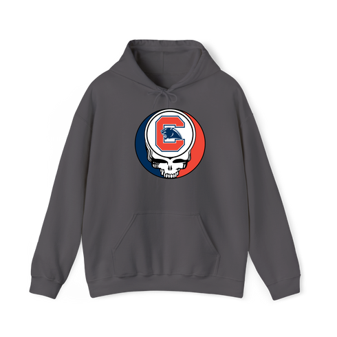 1663 - Custom Stealie Hoodie