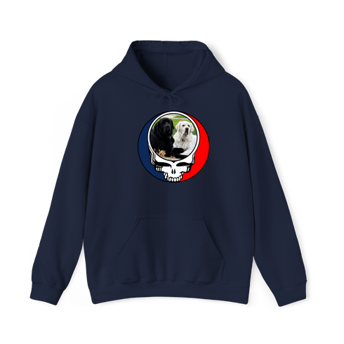 1619 - Custom Stealie Hoodie