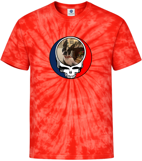 1404 - Custom Stealie Tie-Dye