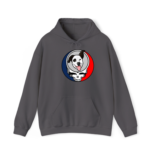 1613 - Custom Stealie Hoodie