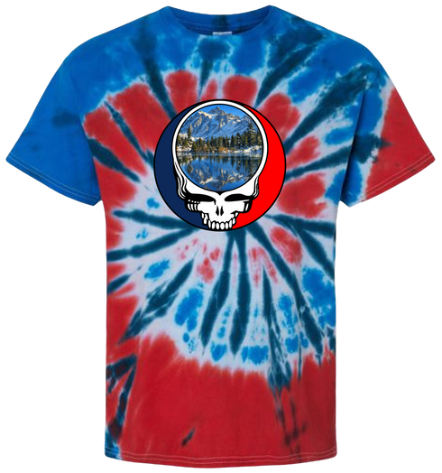 1725 - Custom Stealie Tie-Dye
