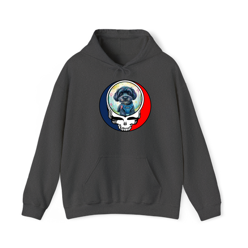 1540 - Custom Stealie Hoodie