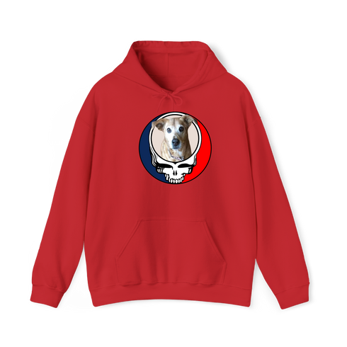 1474 - Custom Stealie Hoodie