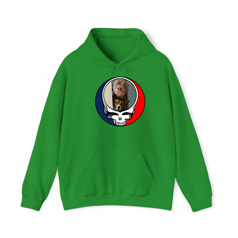 1629 - Custom Stealie Hoodie