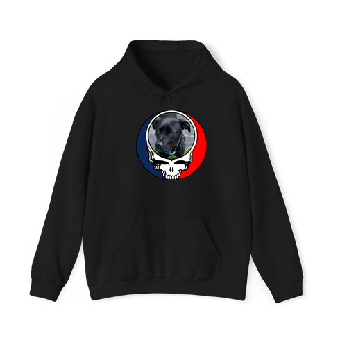 1532 - Custom Stealie Hoodie